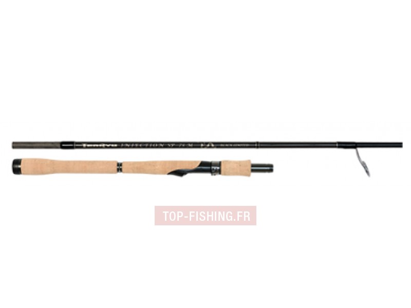 canne-tenryu-injection-sp-73m-black-limited.jpg