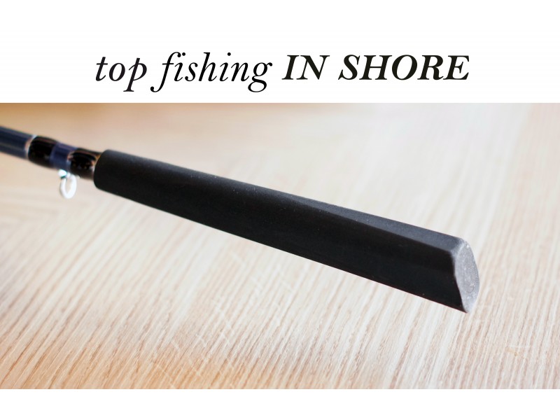 canne-top-fishing-in-shore-c198-talon.jpg
