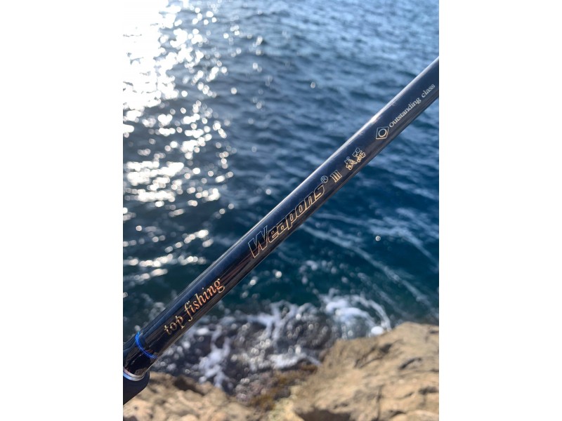 canne-top-fishing-weapons-2.jpg