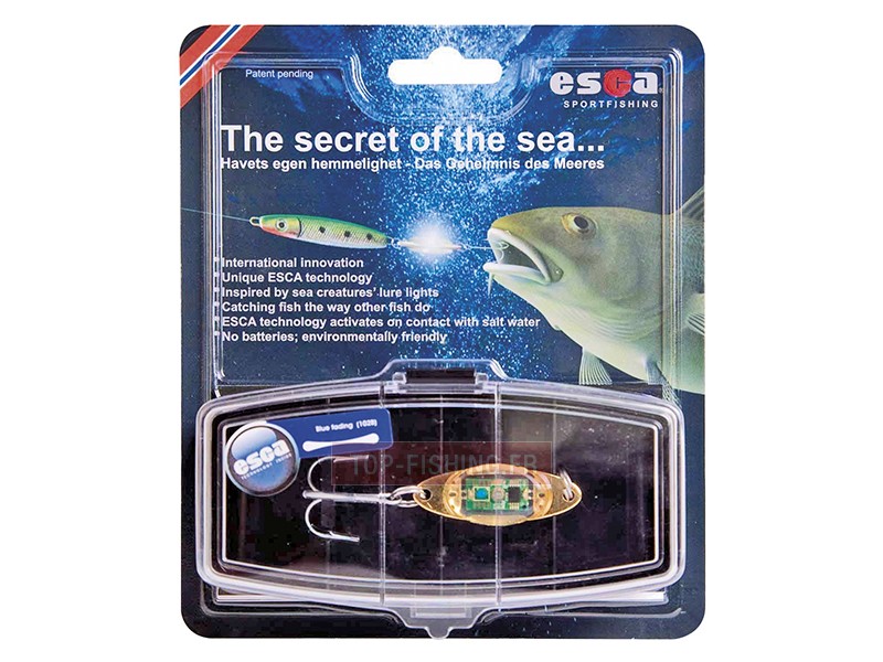 esca-lures-8gr-boite-avec-hamecon.jpg