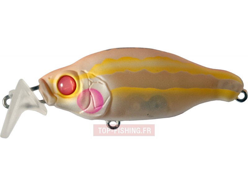 leurre-bacra-sr-couleur-19.jpg