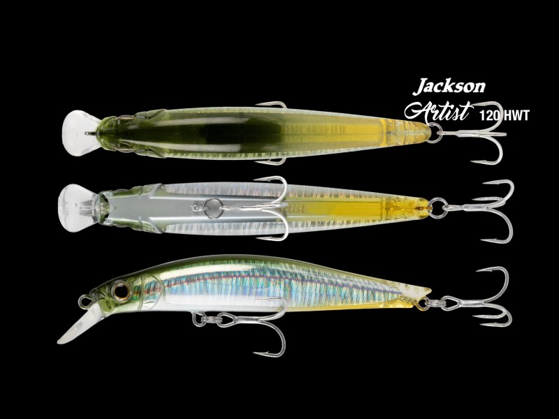 Leurre Coulant Jackson Artist Hwt 120mm