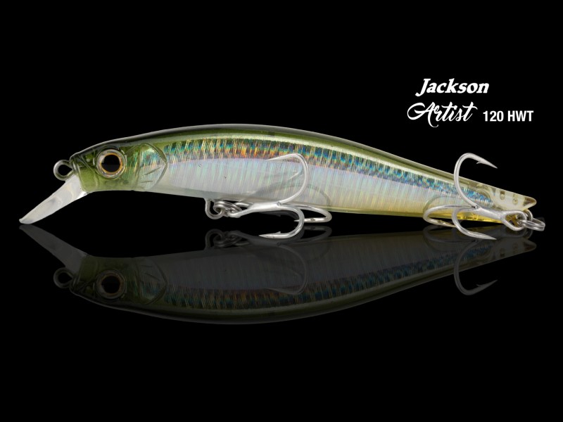 Leurre Coulant Jackson Artist Hwt 120mm
