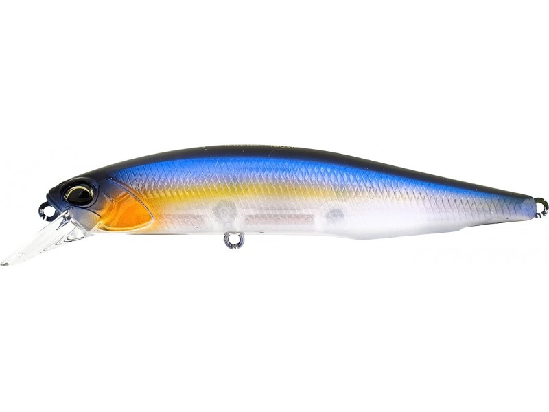 leurre-duo-realis-jerkbait-100-sp-14-ccc3172.jpg