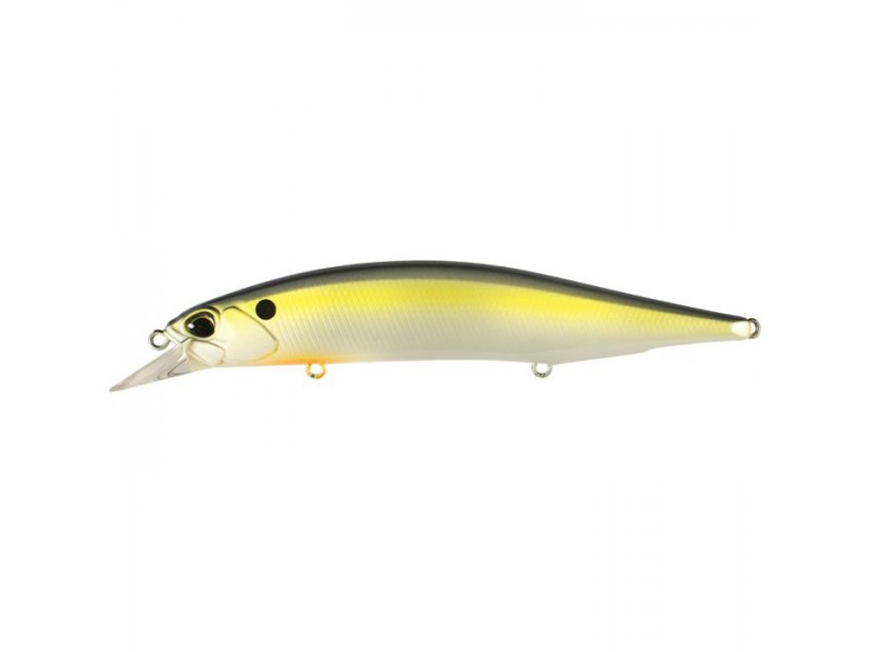 leurre-duo-realis-jerkbait-120-sp-acc3022.jpg