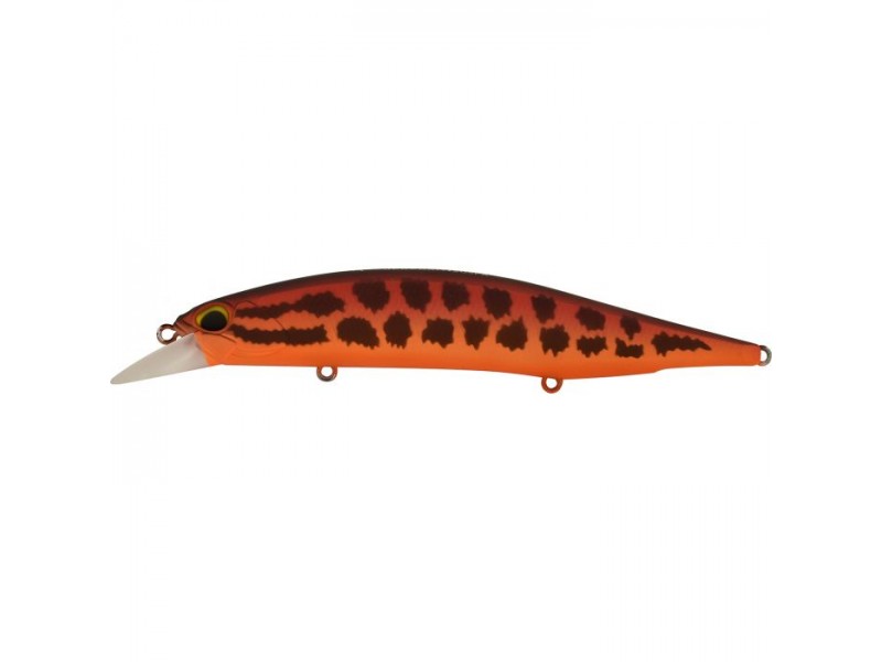 leurre-duo-realis-jerkbait-120-sp-acc3602.jpg