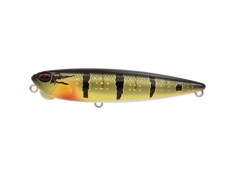 Leurre Duo Realis Pencil 110 FW-ACCZ447