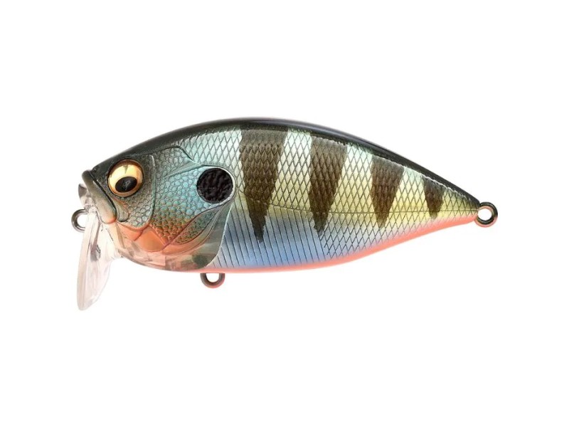 Leurre Flottant Megabass Over Rev Crank 70mm_RedFinPerch