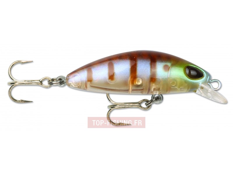 leurre-gomoku-minnow-couleur-bg.jpg