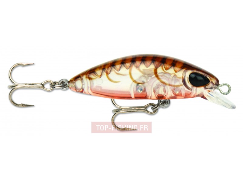 leurre-gomoku-minnow-couleur-btp.jpg