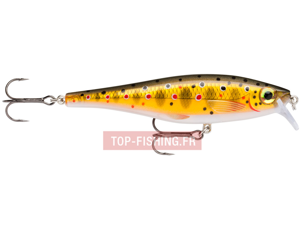 leurre-rapala-bx-minnow-10cm-tr.jpg