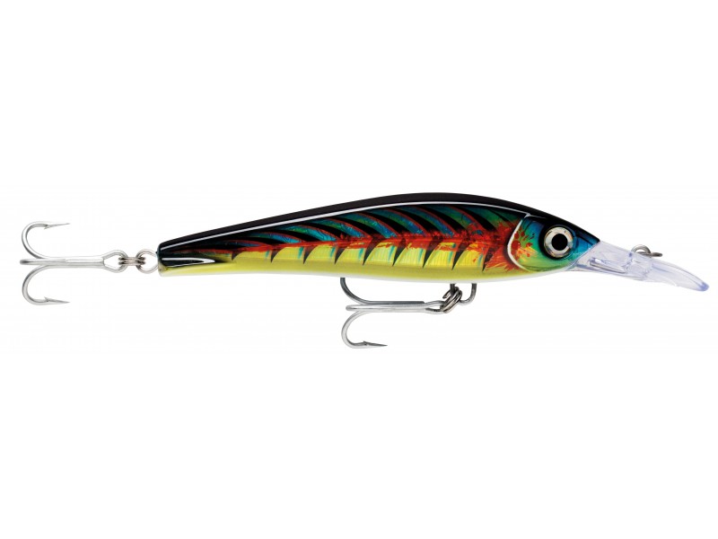 leurre-rapala-x-rap-magnum-xtreme-160mm-14-hdllu.jpg