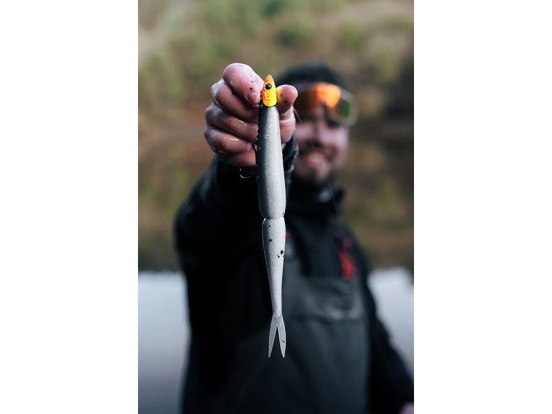 Leurre Souple Sawamura One Up V Tail 230mm