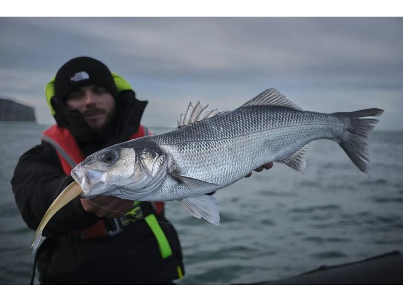 Leurre Souple Sawamura One Up V Tail 230mm