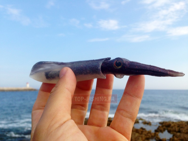 leurre-souple-top-sea-squidart-chipiron-ambiance.jpg