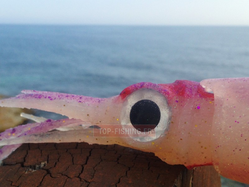 leurre-souple-top-sea-squidart-destroyer-ambiance-3.jpg