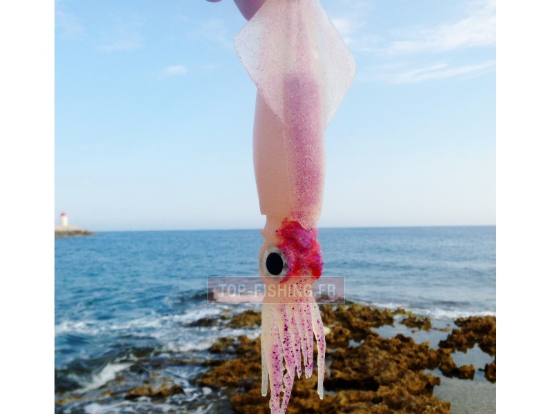 leurre-souple-top-sea-squidart-destroyer-ambiance-4.jpg