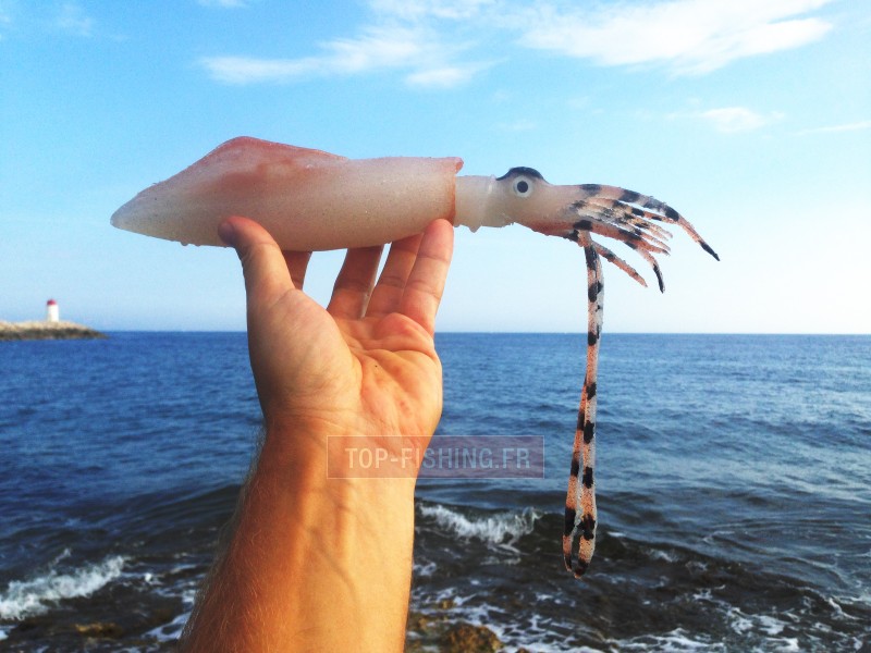 leurre-souple-top-sea-squidart-krak-2.jpg