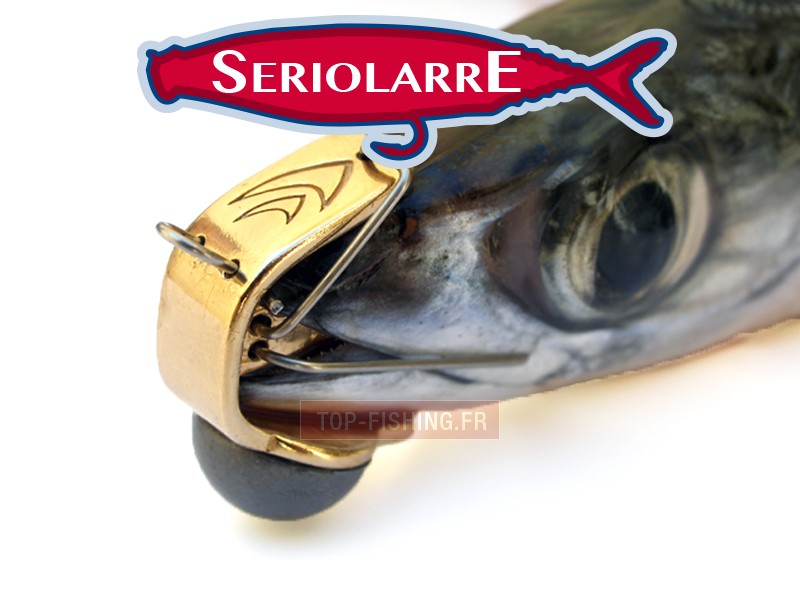 seriolarre.jpg