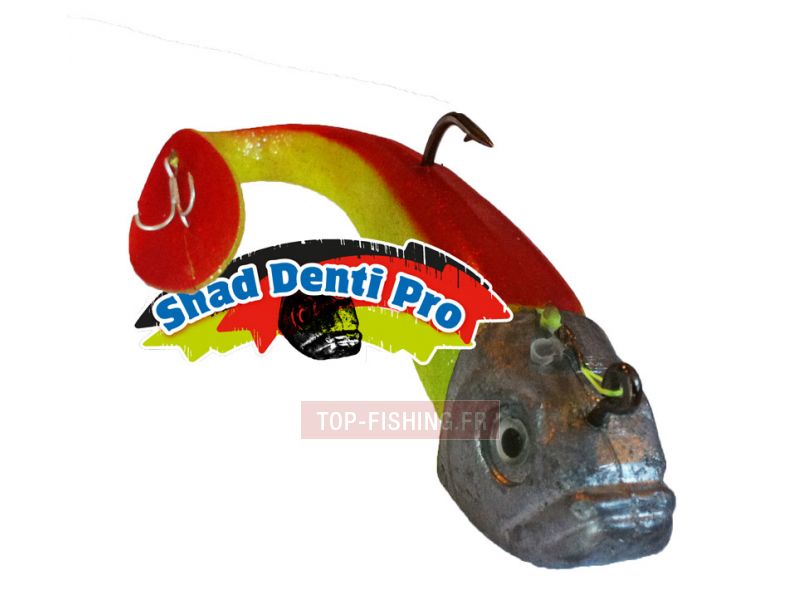 shad-denti-pro-face.jpg