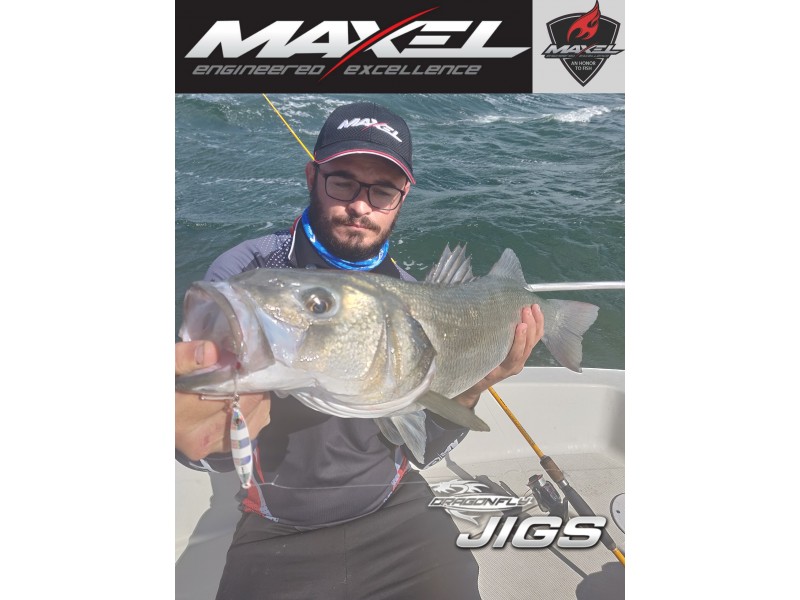 slow-jig-maxel-dragonfly-20g-2.jpg