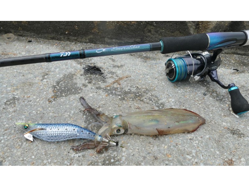 Turlutte Daiwa Emeraldas Shine Lc 18.5g