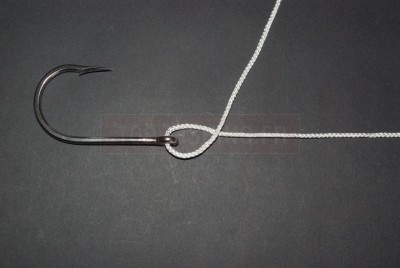 Formez une petite boucle en faisant passer le bout libre au dessus de la ligne mère.