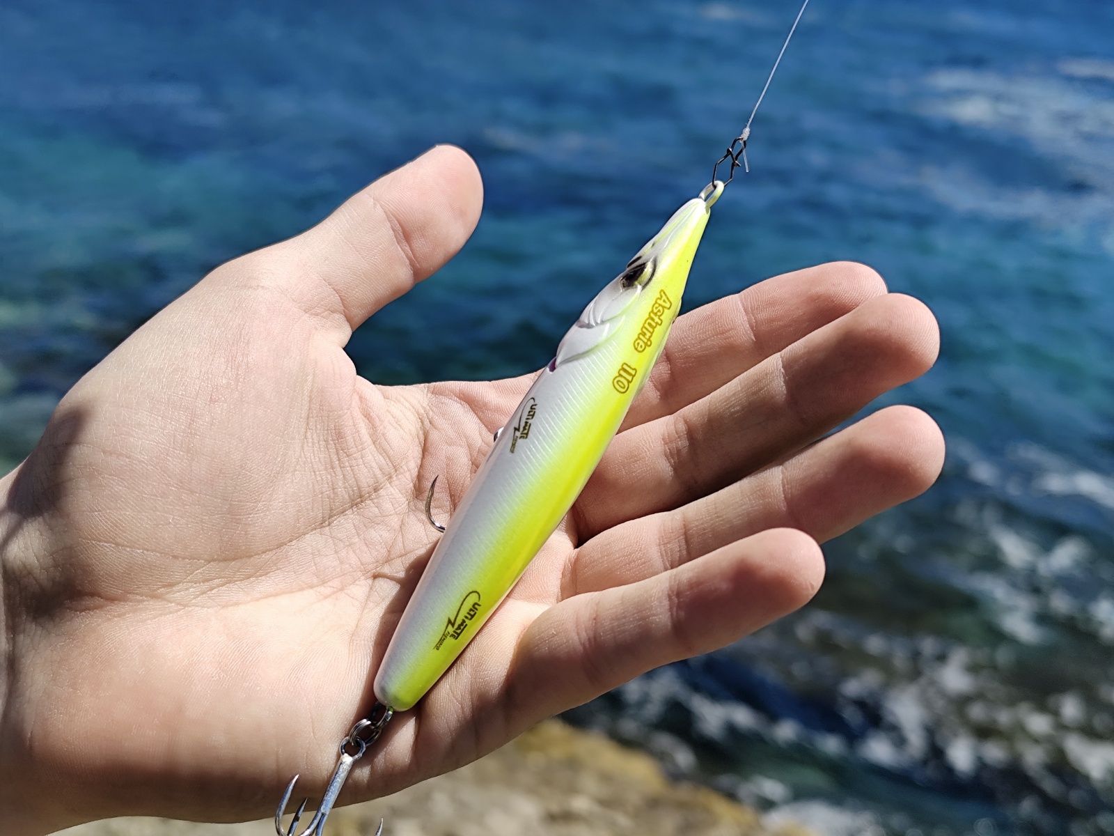 Lagurus pêche