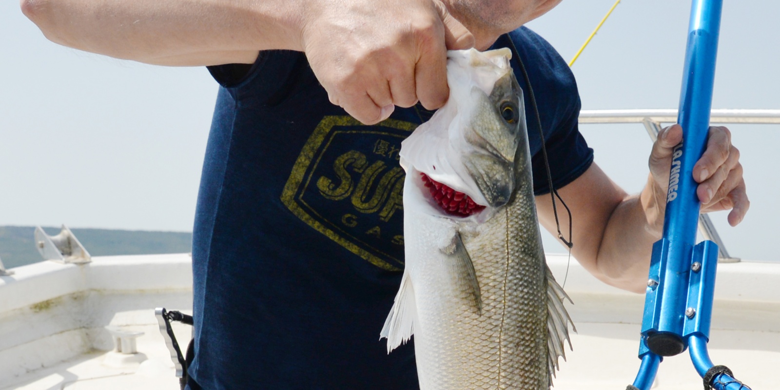 Le Morethan Trick Upper R Daiwa est un must pour le bar ! 