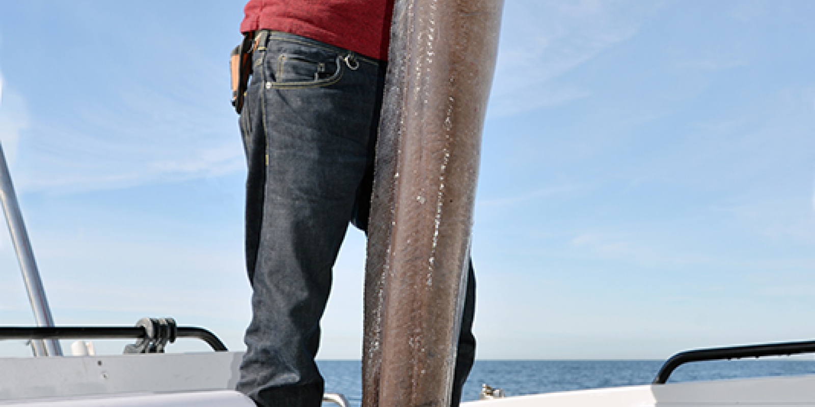 Seaguar : une gamme hyper complète de fluorocarbones d’une qualité exceptionnelle pour toutes les pêches !