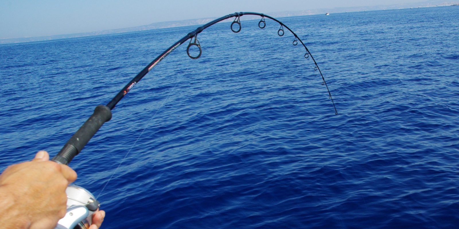 9-il-est-rare-de-decrocher-avec-le-circle-hook.jpg il est rare de decrocher avec le circle hook