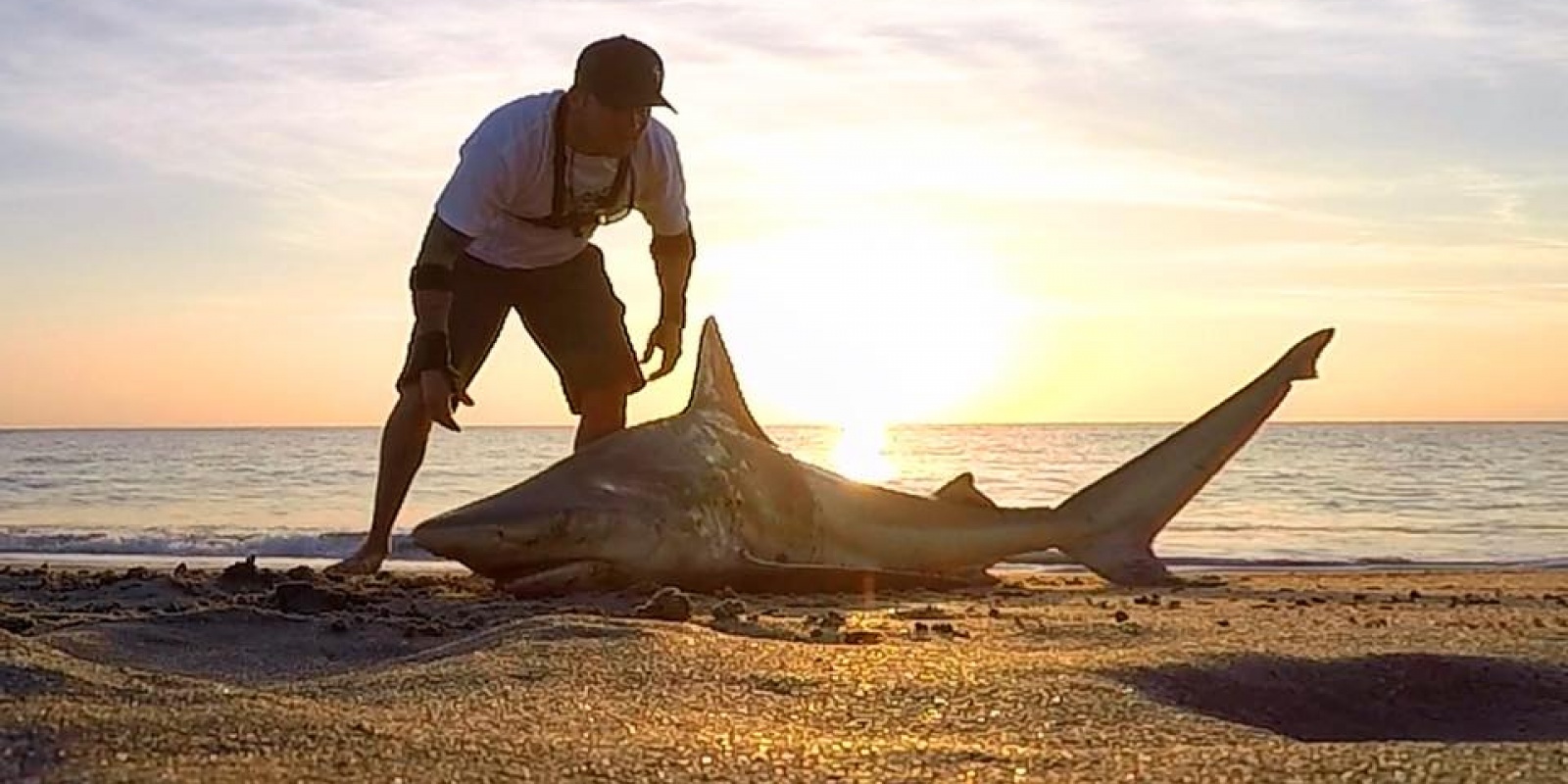 Dennis Verreet, pêche au requin du bord