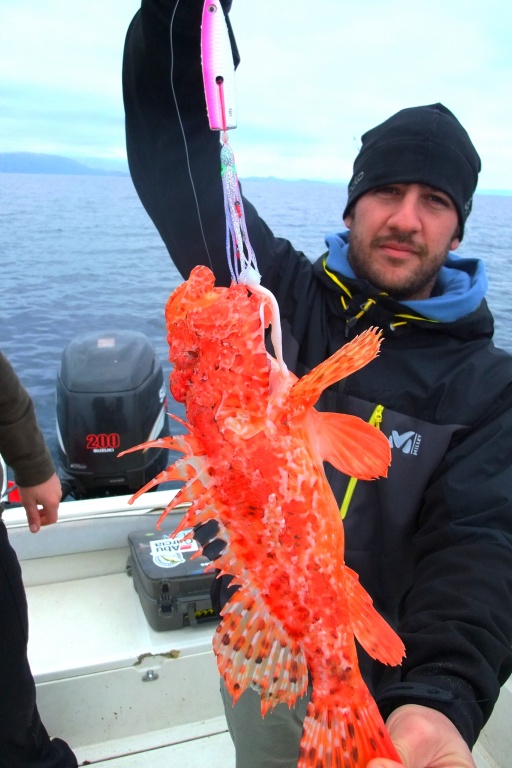Beau chapon pris à l’inchiku !