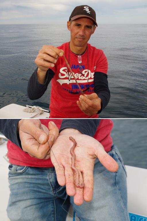 Pour une meilleure tenue lors de la dérive et une bonne présentation, eschez vos vers à l’aiguille !