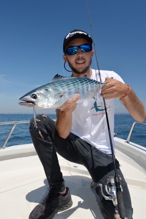 L’Ace Hayabusa est un must pour les chasses de bonites !