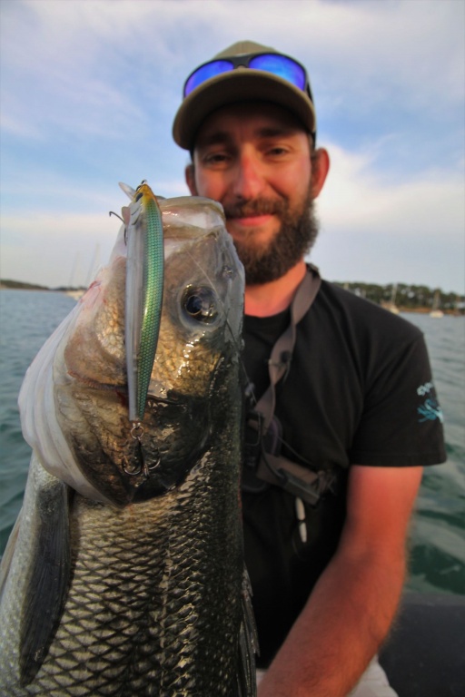 Gros bar pêché au 3DB Jerkbait Yo-Zuri !