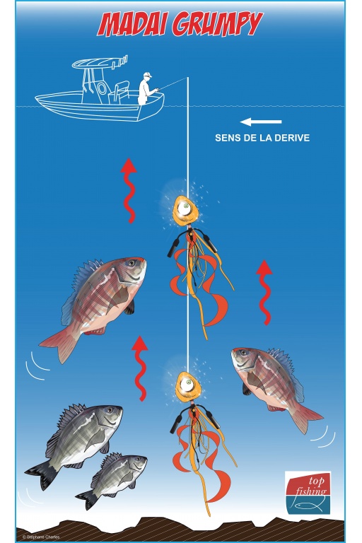 Une simple récupération linéaire suffit pour que le Grumpy Fish Glowbite soit efficace