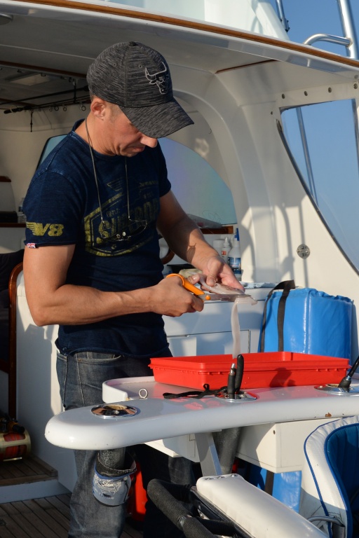 Des lanières de calamars découpées aux ciseaux dans le manteau sont un must pour booster votre inchiku !