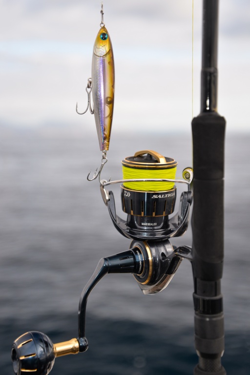 Morethan Trick Upper R : enfin un stickbait Daiwa !