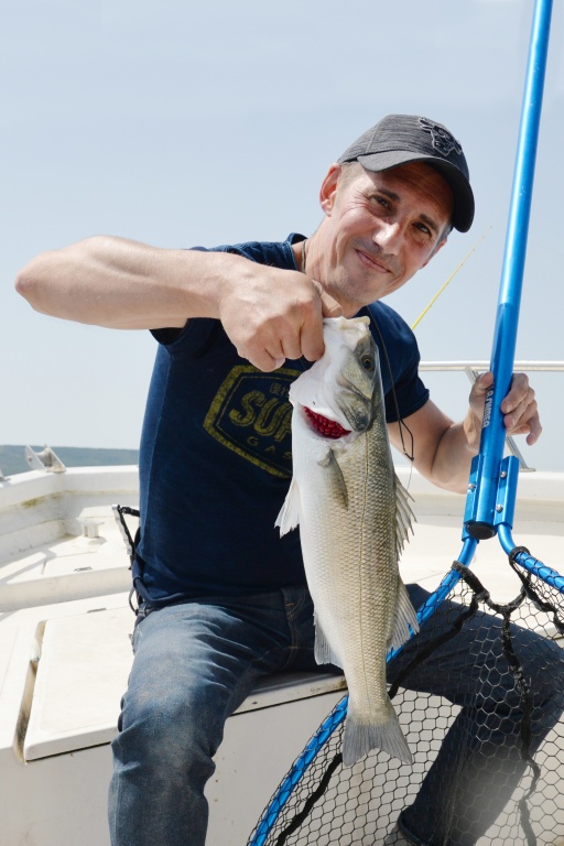 Le Morethan Trick Upper R Daiwa est un must pour le bar ! 