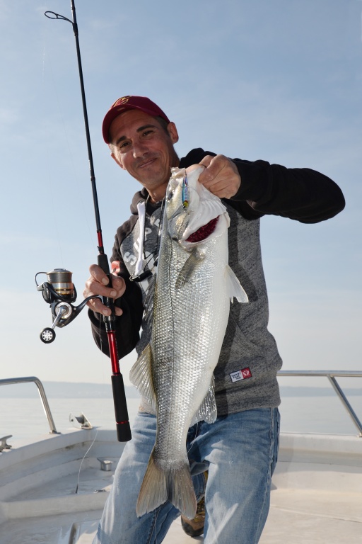 La pêche en traction au casting jig est redoutable d’efficacité sur les bars !