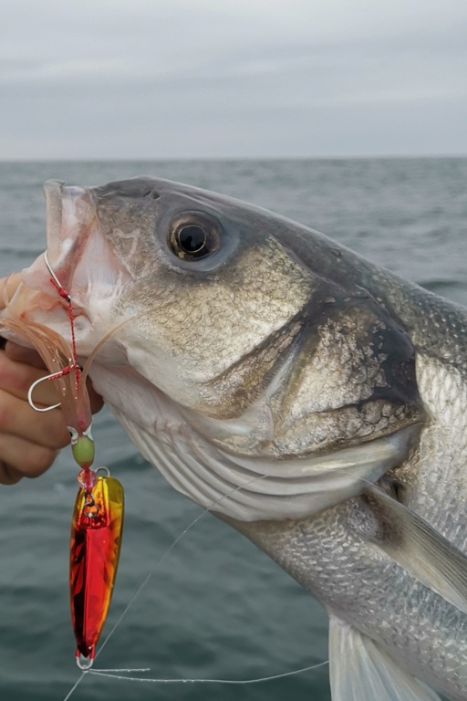 Le Kick Bottom Hayabusa est d'une redoutable efficacité sur le bar