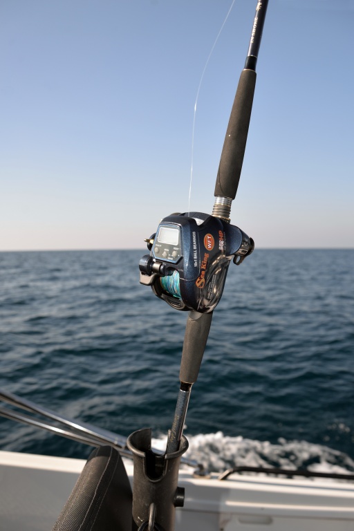 La canne In Shore C198 Top Fishing est idéale associée à un moulinet Sea King 550 HP WFT pour les pêches profondes
