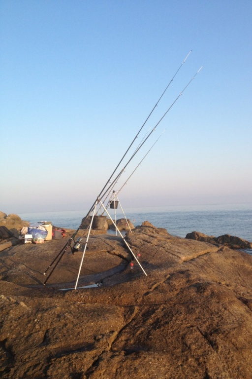 Cannes pour la pêche en surfcasting