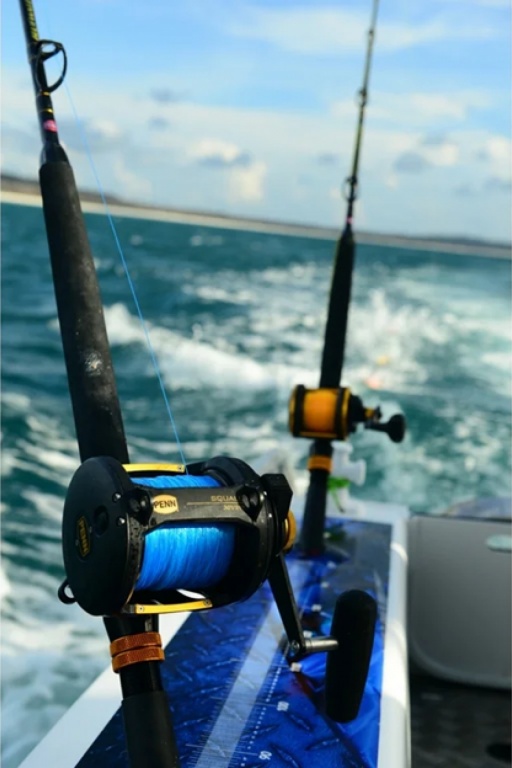 Le Penn Squall, le moulinet polyvalent par excellence.