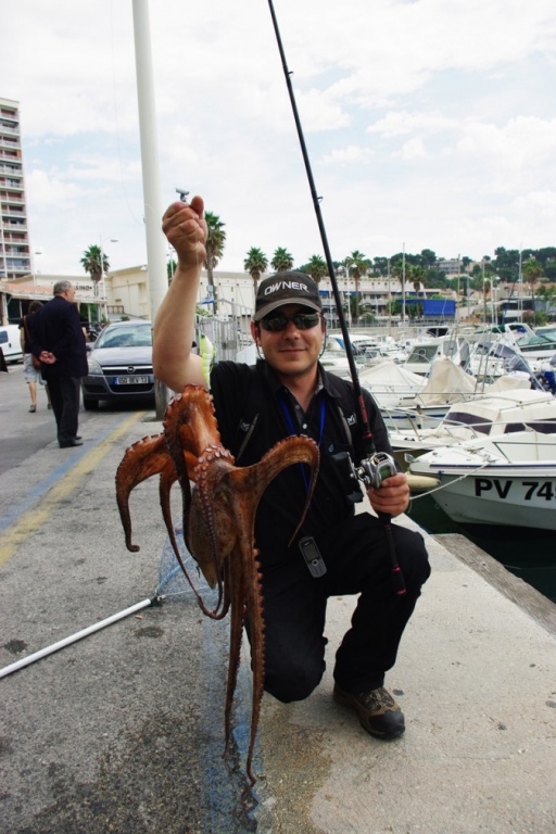 poulpe pêcher du port