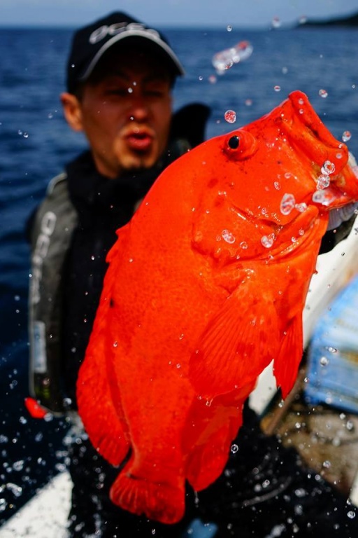 Les japonais sont férus de pêche !