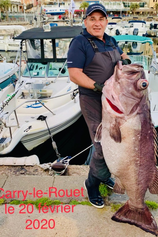 Très beau cernier pêché par Philippe Maréchal