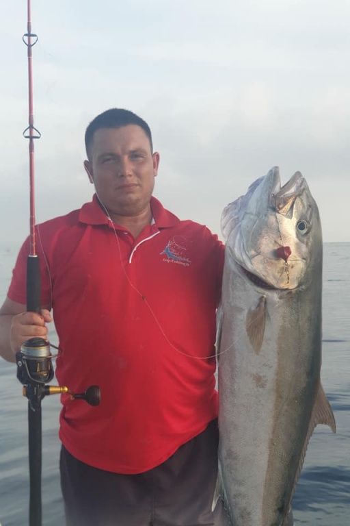 Une fin d'après-midi très agréable qui viendra se conclure par cette belle seriole qui a été charmée par un calamar présenté sur un fire-ball TOPSEA 90 gr.