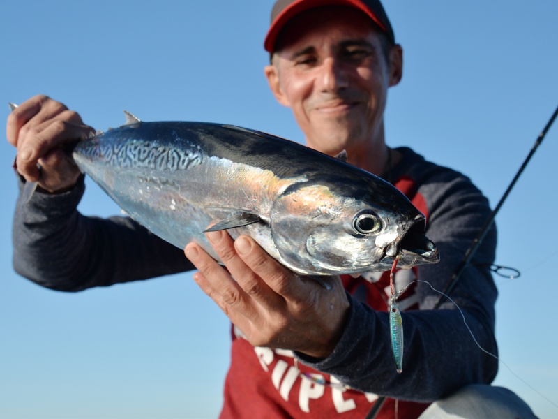 Le Metal Spot Flashmer est un réel sauve bredouille !